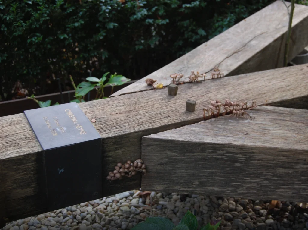 Detail eines verwitterten Eichenholz-Grabmals mit wachsendem Pilzbewuchs