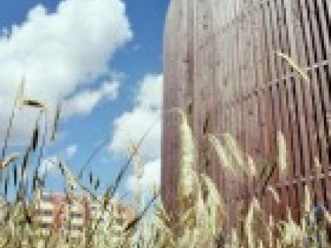 Teaserbild zum Kunstprojekt „Ein Roggenfeld im Todesstreifen der Berliner Mauer“ von Michael Spengler in Kooperation mit Humboldt-Universität zu Berlin und Landwirt Joachim Henke