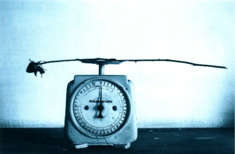 Postkarte „Die Rose“ von Michael Spengler im Duplexdruck