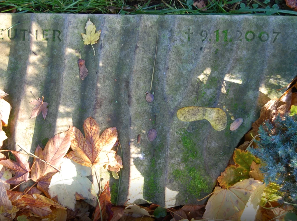 Goldener Fußabdruck auf Rippelmarkenmuster – Denkwerk für Konrad Ferdinand Leutner