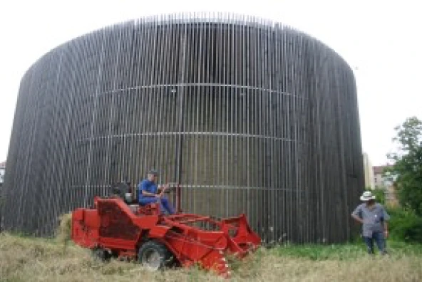 Landwirt Bölsche steuert einen Mähdrescher bei der Roggenernte.