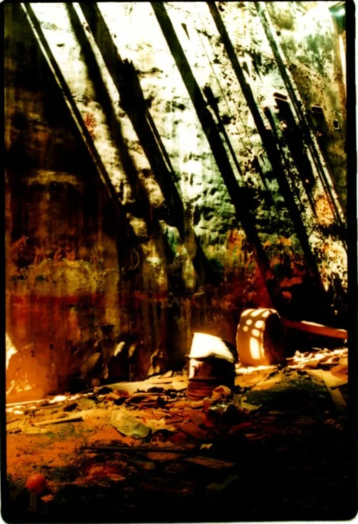 Lichtdurchfluteter Innenraum einer verlassenen Pigmentfabrik mit überwucherter Struktur.