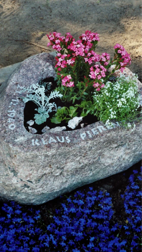 Grabstein aus Findling mit ausgehöhltem Bereich für Pflanzen – Denkwerk für Klaus Pierenz