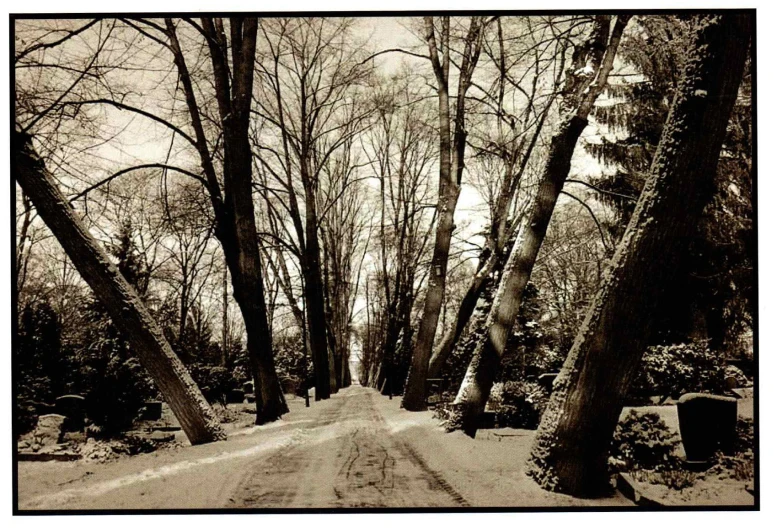 Postkarte mit winterlicher Ansicht des Sophienfriedhofs in Berlin.